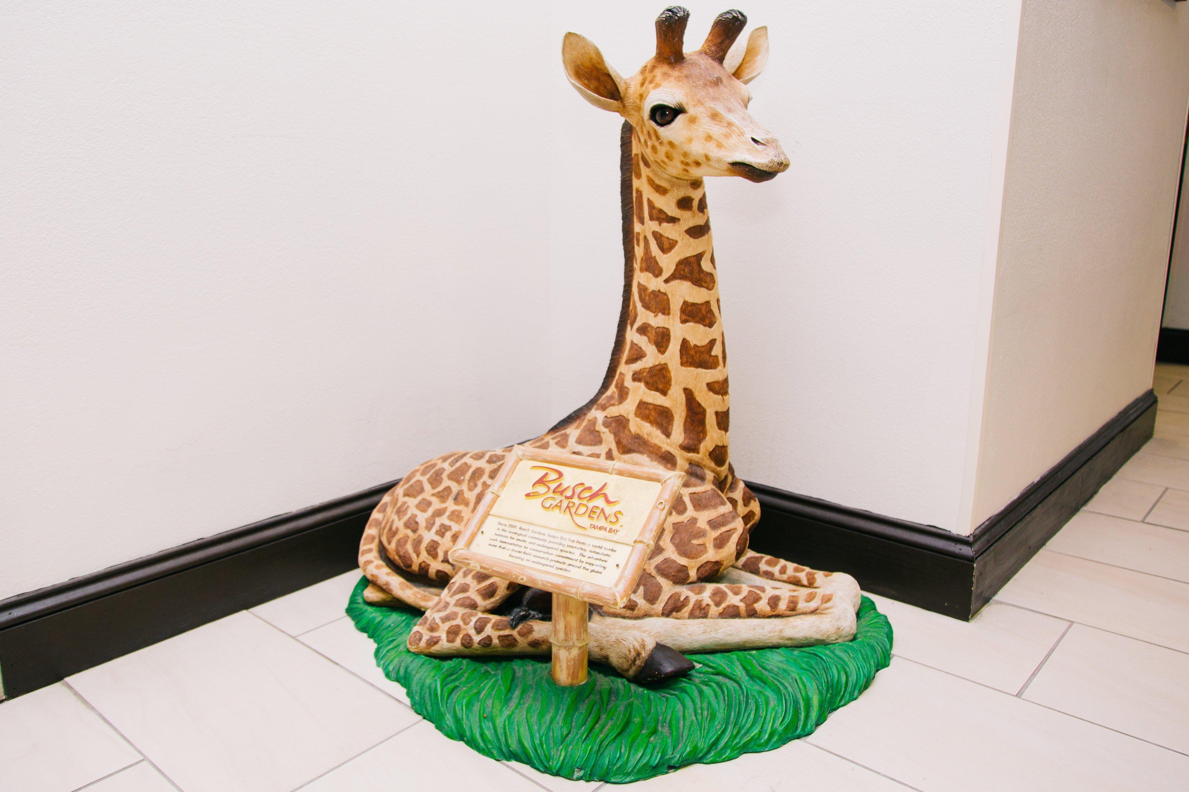 Holiday Inn Express Hotel & Suites Tampa-Usf-Busch Gardens By Ihg מראה חיצוני תמונה