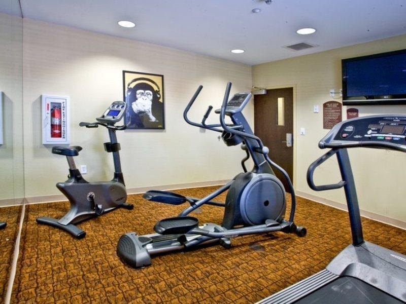 Holiday Inn Express Hotel & Suites Tampa-Usf-Busch Gardens By Ihg מראה חיצוני תמונה