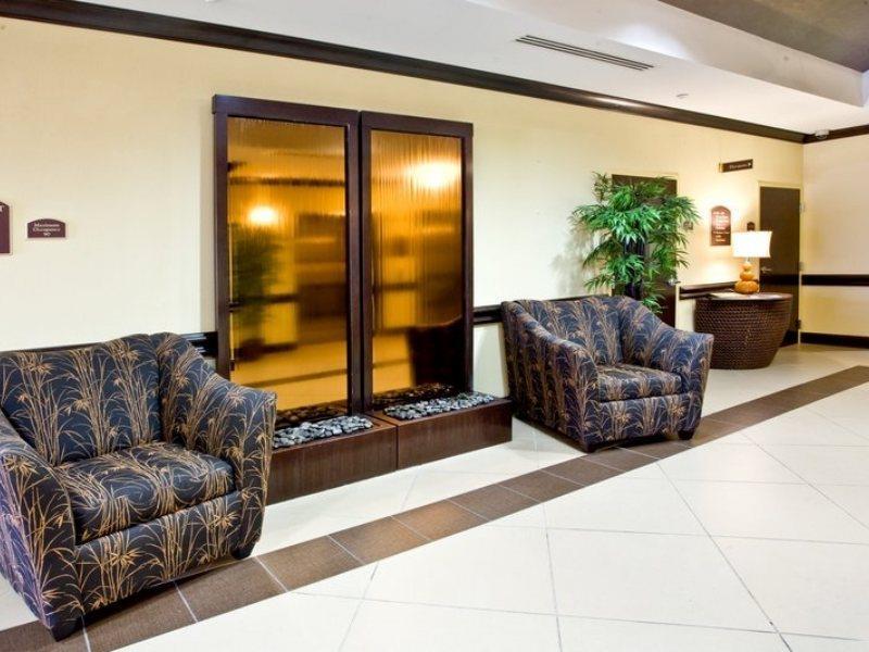 Holiday Inn Express Hotel & Suites Tampa-Usf-Busch Gardens By Ihg מראה חיצוני תמונה