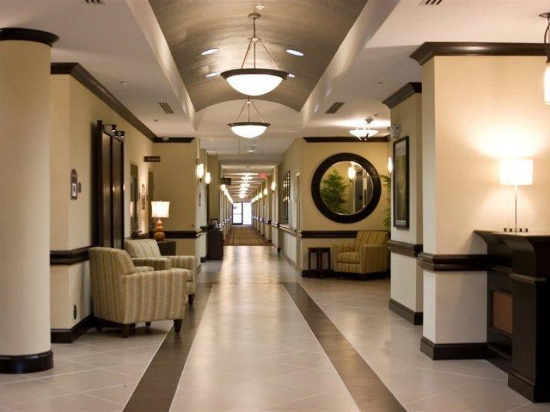 Holiday Inn Express Hotel & Suites Tampa-Usf-Busch Gardens By Ihg מראה חיצוני תמונה