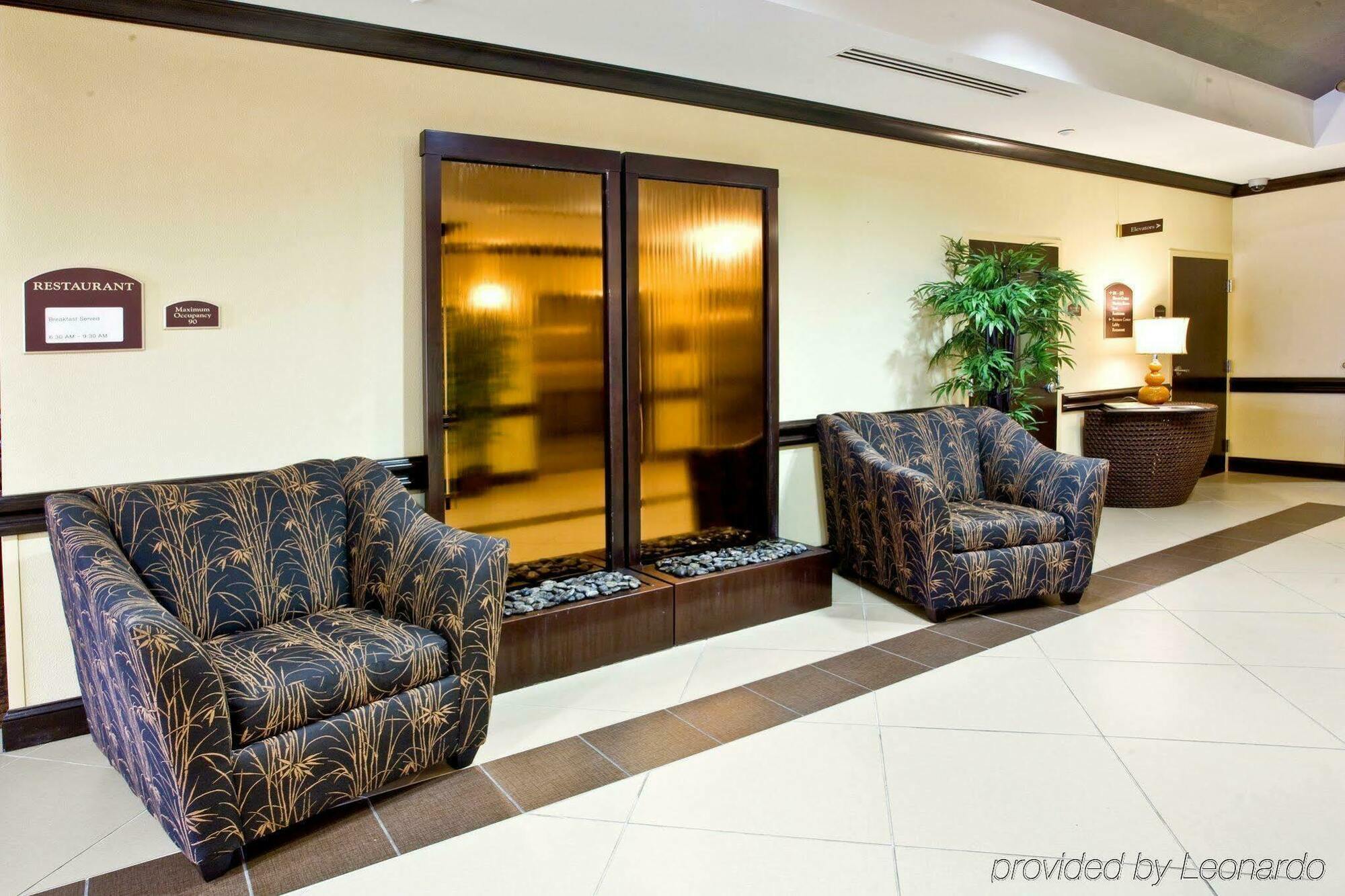 Holiday Inn Express Hotel & Suites Tampa-Usf-Busch Gardens By Ihg מראה חיצוני תמונה