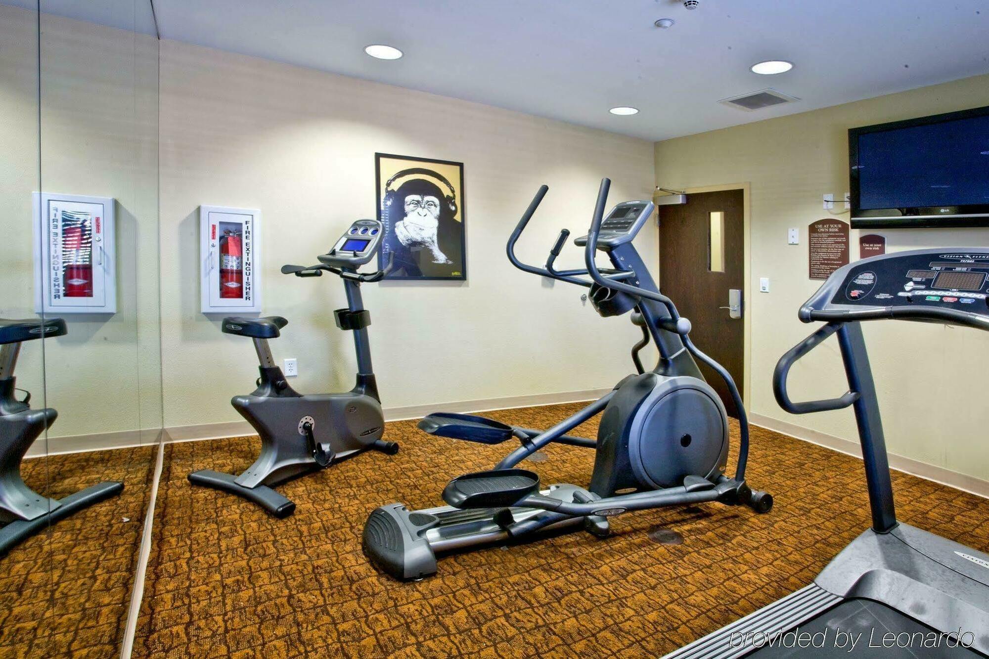 Holiday Inn Express Hotel & Suites Tampa-Usf-Busch Gardens By Ihg מראה חיצוני תמונה